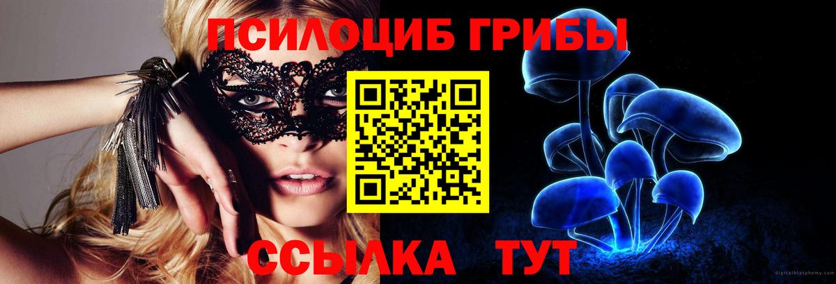 Псилоцибиновые грибы прущие грибы Кимры