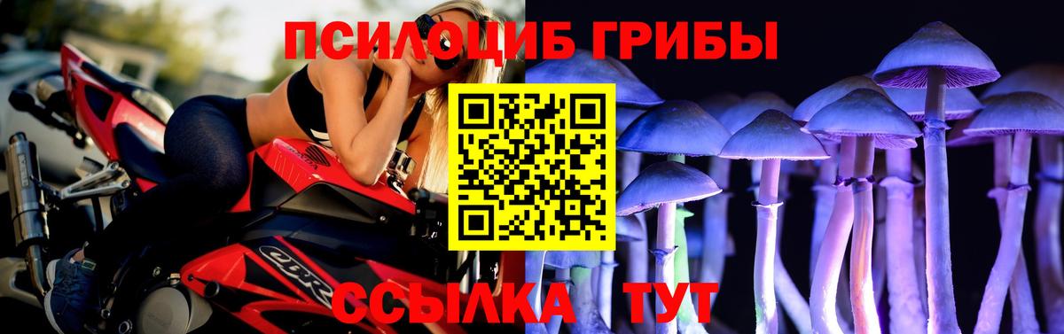 Кимры  Псилоцибиновые грибы Magic Shrooms  наркотики  Вход с VPN  Псилоцибиновые грибы Cubensis 